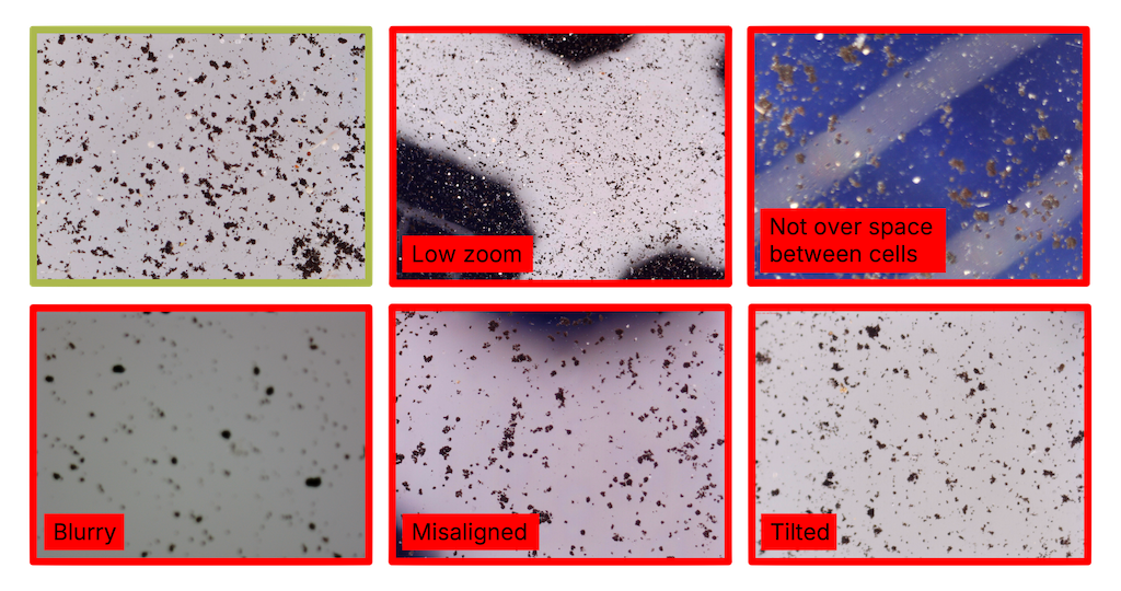 Example microscopy images